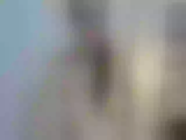 Live sex webcam photo for Vane_ #262421140