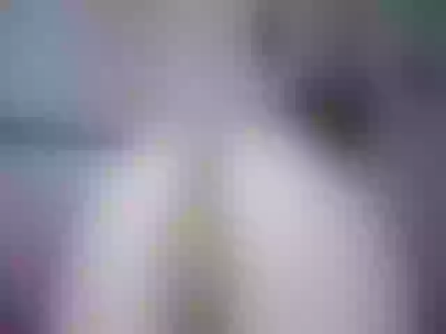 Live sex webcam photo for NecroNicki #256186274