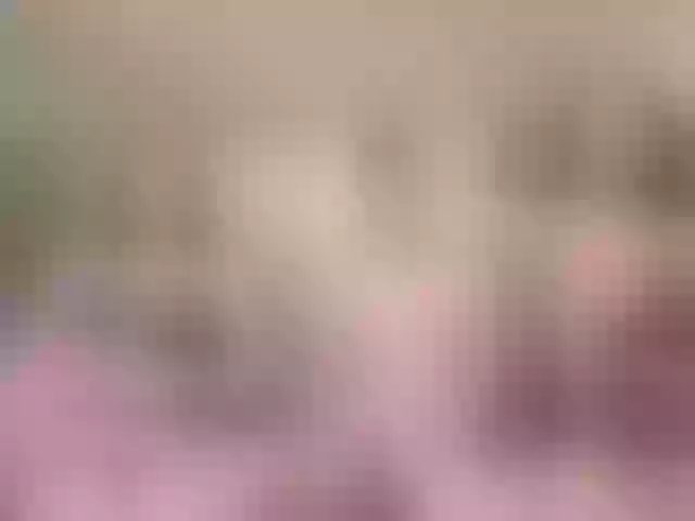 Live sex webcam photo for sex-partys #257040741