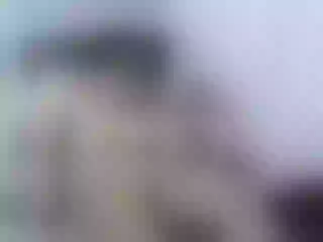 Live sex webcam photo for KellyTaylor #241345524