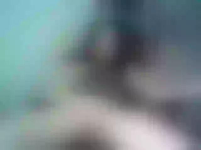 Live sex webcam photo for Sweetydevil95 #241301986