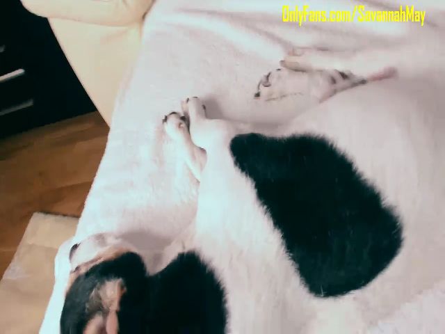 Live sex webcam photo for SavannahMay #262691060