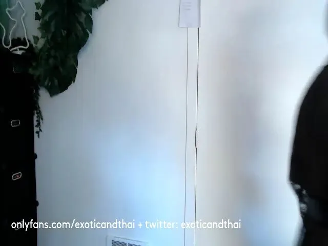 Live sex webcam photo for ExoticandThai #253929618
