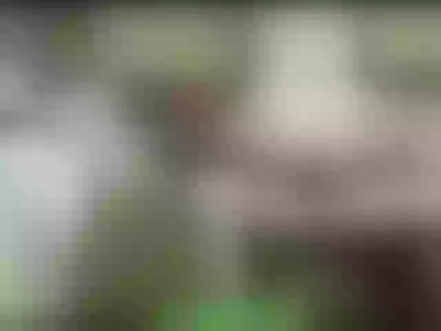 Live sex webcam photo for alisablond #241301295