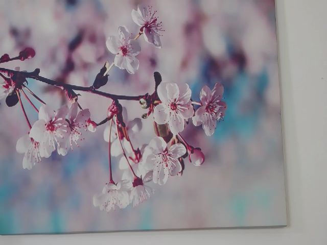 Live sex webcam photo for JanelleBrown_ #253406531