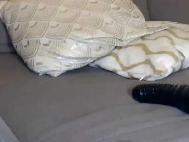 Live sex webcam photo for SpyMyPussy #243141058