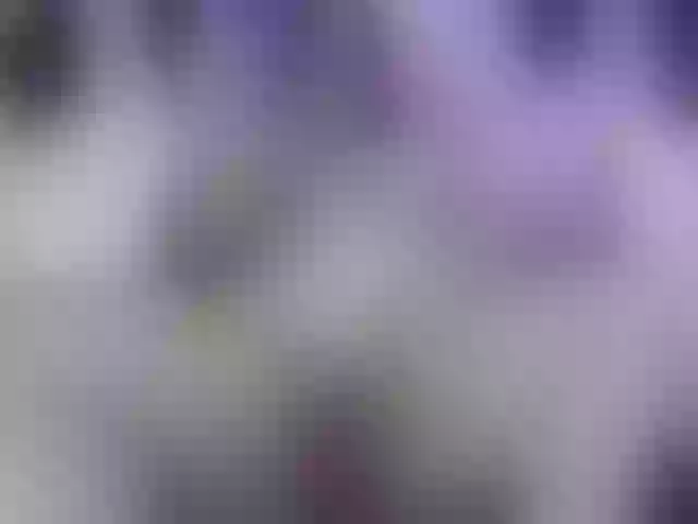 Live sex webcam photo for Lulubigtitts #260142973