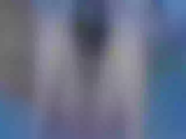 Live sex webcam photo for Rosesmith1x #255299494
