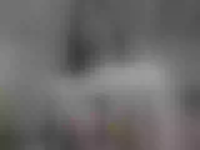 Live sex webcam photo for Sexualmilena #260128158