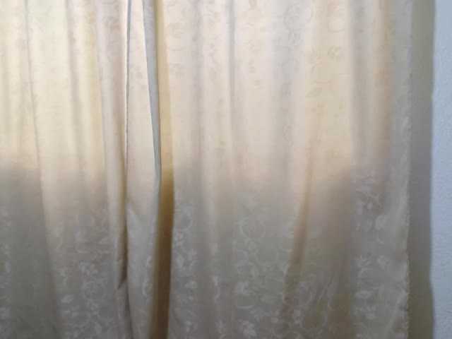 Live sex webcam photo for latinakitten- #240909441