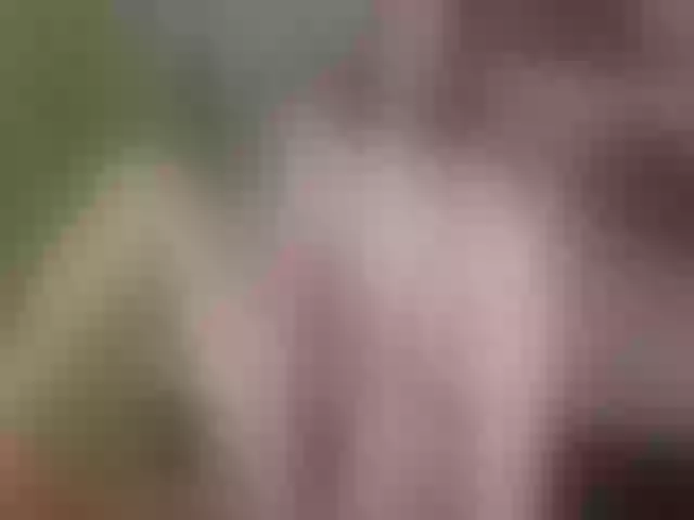 Live sex webcam photo for Evelynevi #252986104
