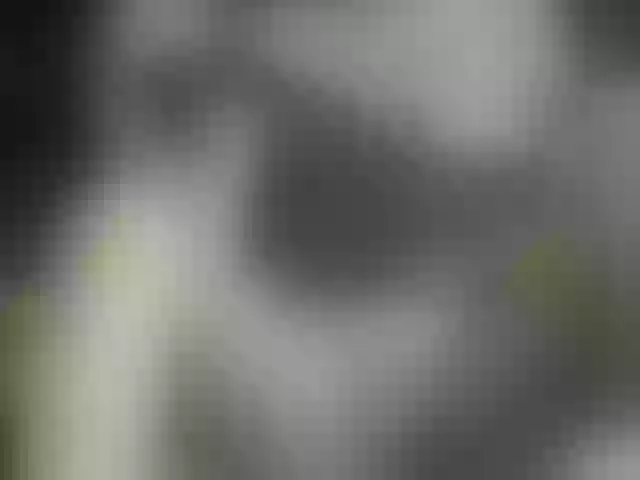Live sex webcam photo for Lisichka7777 #241118265