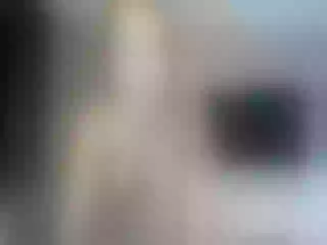 Live sex webcam photo for Anoook #255165398
