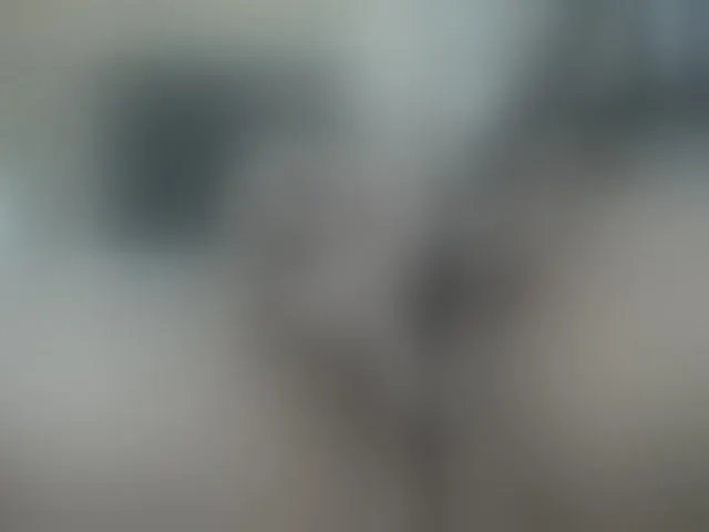 Live sex webcam photo for Kloemss #259383224