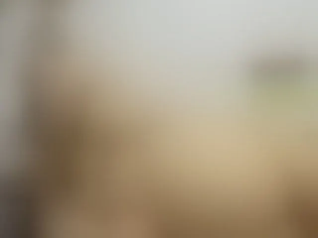 Live sex webcam photo for Merida- #242793876