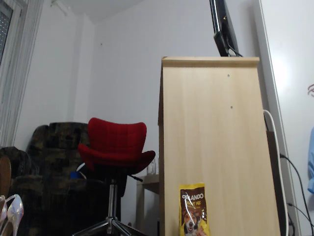 Live sex webcam photo for EnioNichols #256280379