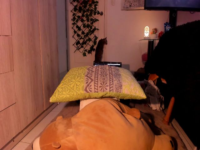 Live sex webcam photo for Sol_minoli #264062420