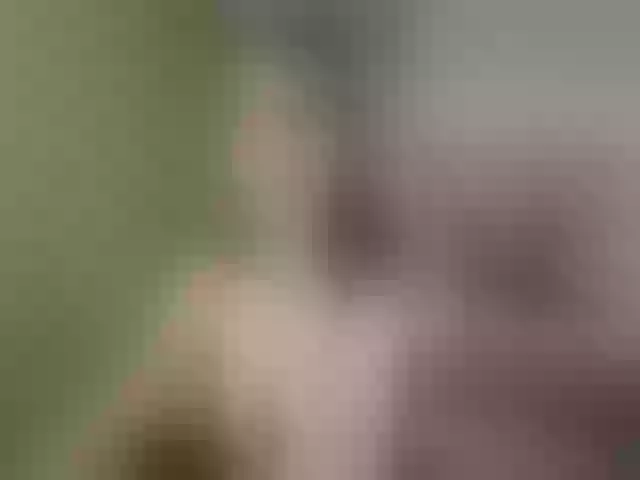 Live sex webcam photo for Evelynevi #252741377