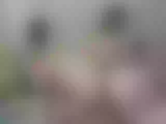 Live sex webcam photo for Ebonysweett #249749207