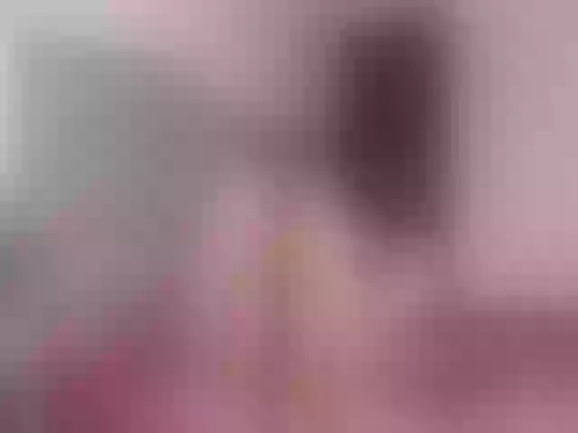 Live sex webcam photo for NikoraStar #255684966