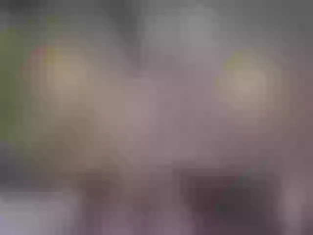 Live sex webcam photo for Miia_cox #256269653
