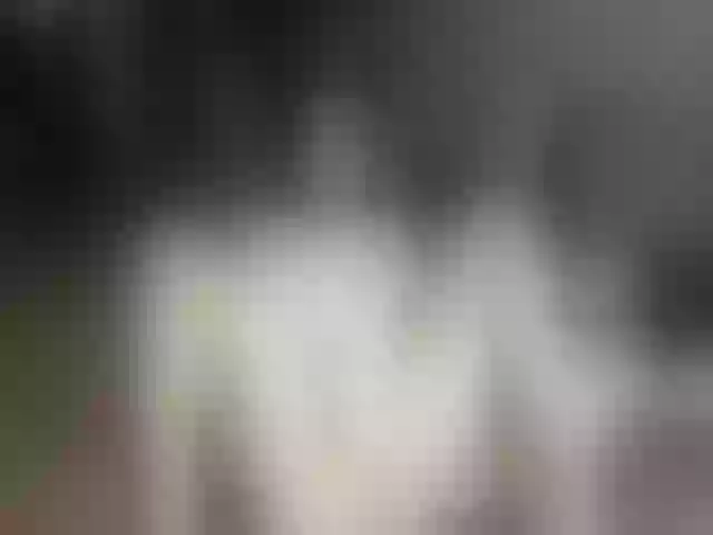 Live sex webcam photo for Borra #256803641