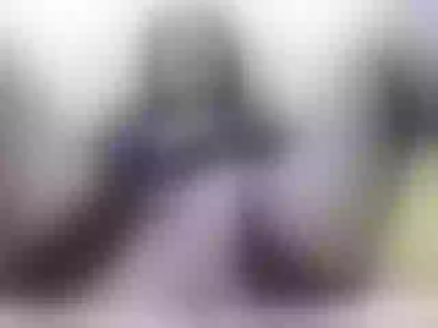 Live sex webcam photo for Vikibru #240938522