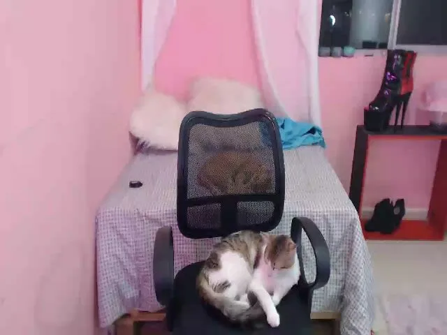 Live sex webcam photo for Lissjensen #255867304