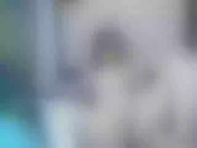 Live sex webcam photo for Medussangel #264430548
