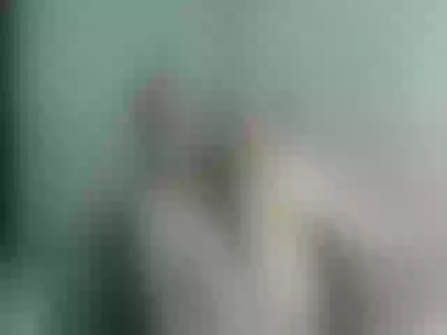 Live sex webcam photo for Yourmilf24 #262391987
