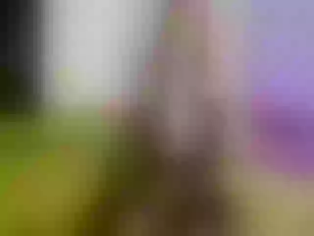 Live sex webcam photo for Atlanna #255679877