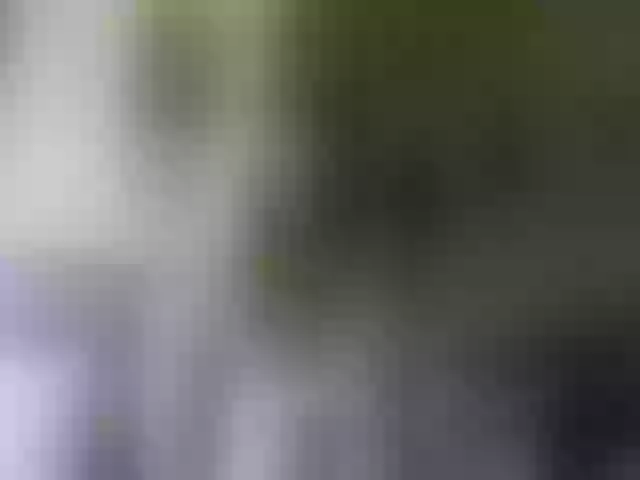 Live sex webcam photo for cozychristine #257071300