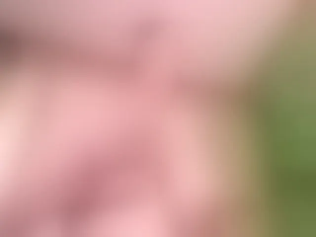 Live sex webcam photo for Bigboobiesx #255434604