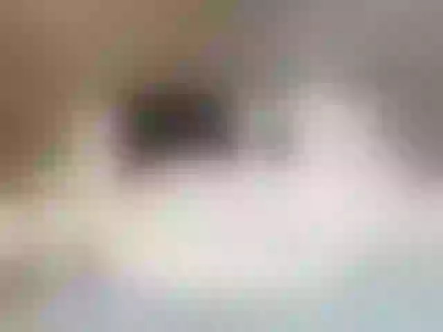 Live sex webcam photo for hotvik #246838081
