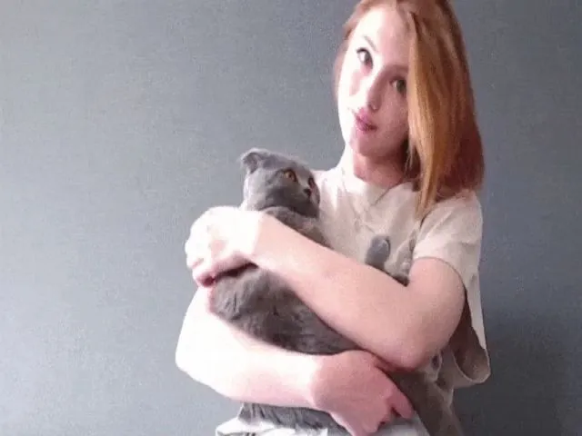 Live sex webcam photo for Netflixi #264135207