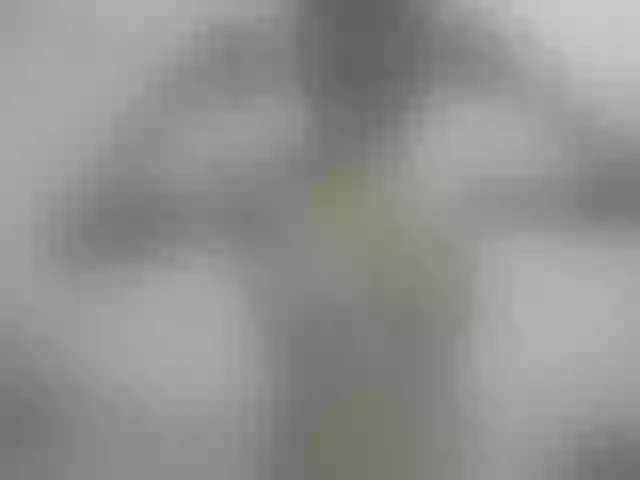 Live sex webcam photo for Nymphaea #241301256