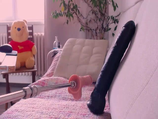 Live sex webcam photo for WildredheadCZ #253727042