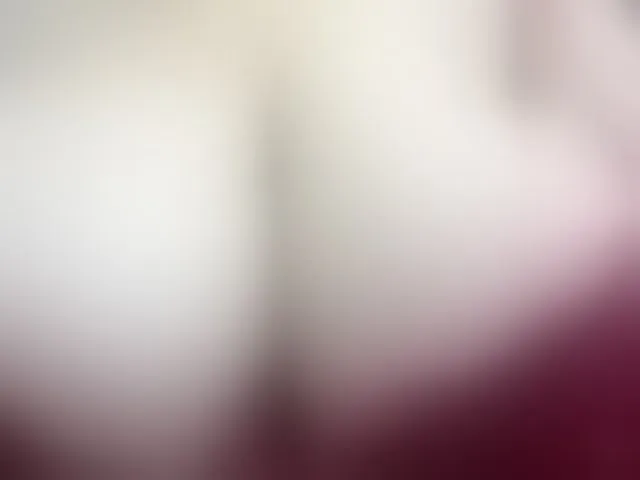 Live sex webcam photo for Scarlett3Love #256205812