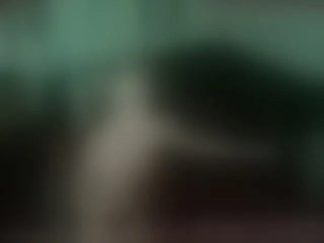 Live sex webcam photo for EmberBurns #259079049