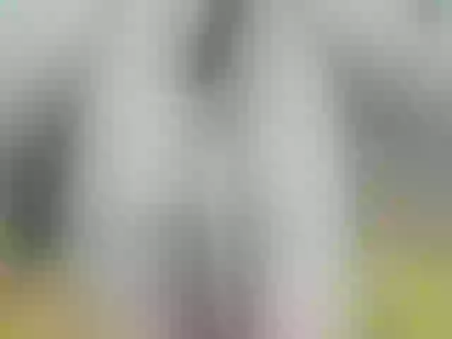 Live sex webcam photo for AletaOcean #261953062