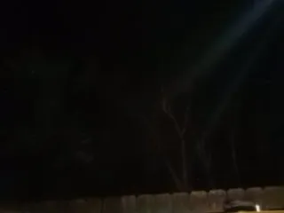 Live sex webcam photo for Prurient-Gem #240490428