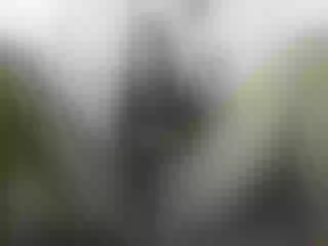 Live sex webcam photo for EleianaRose #261662978