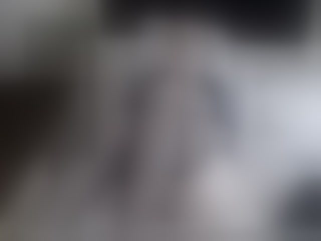 Live sex webcam photo for EllaSwan #241264587