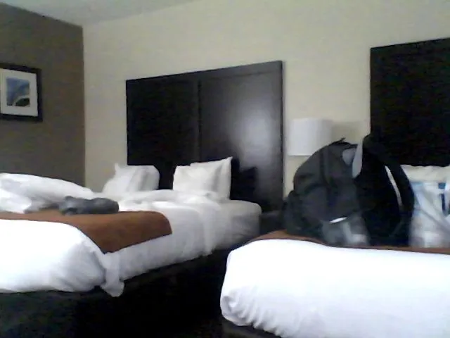Live sex webcam photo for CocoaCat #263571372