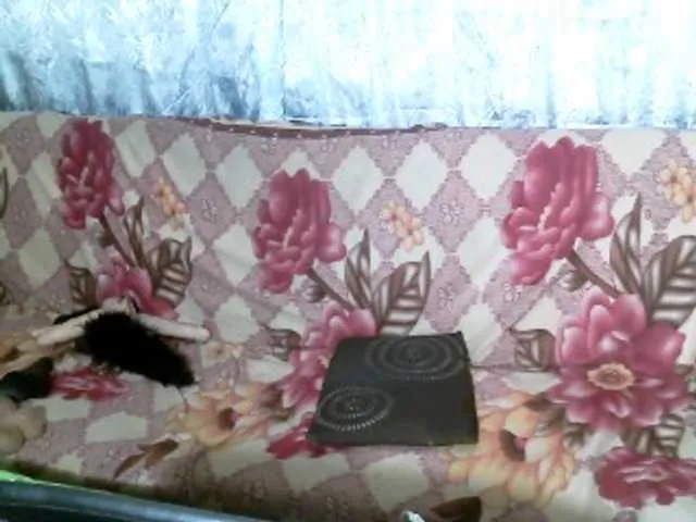 Live sex webcam photo for IngaQAce #287968799