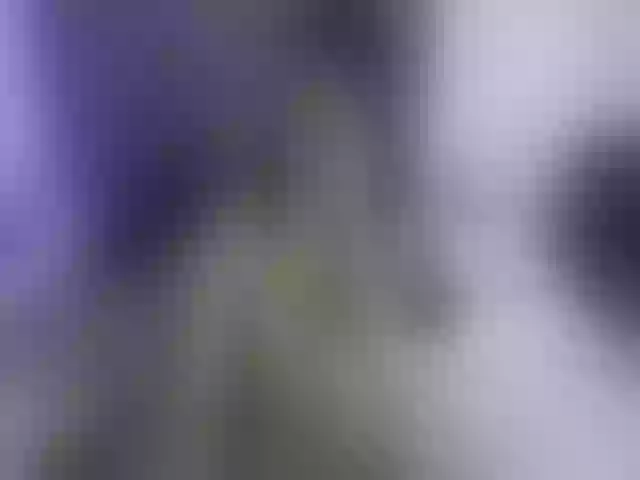 Live sex webcam photo for Sasha_cameron #259528227
