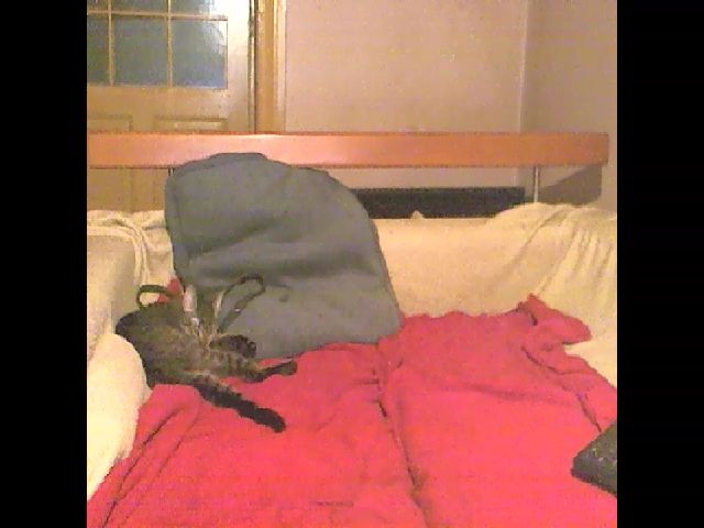 Live sex webcam photo for Lili_Mari69 #264799628