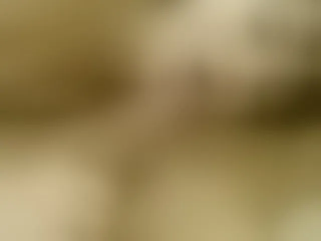 Live sex webcam photo for maksym939 #241371993