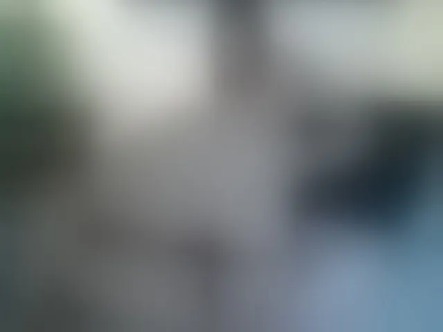 Live sex webcam photo for SUSYBALE #254853614