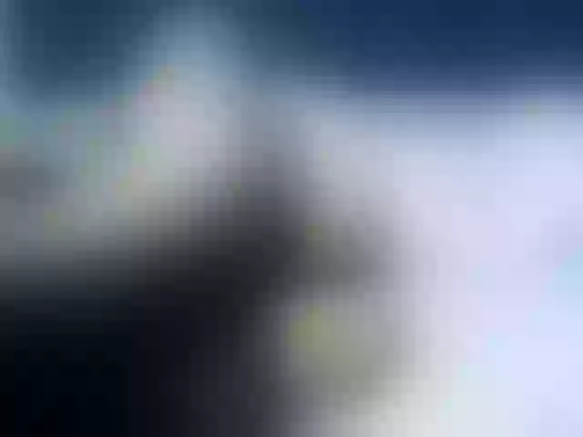 Live sex webcam photo for Ellaquality #262223411